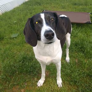 Meet your Posher, Diane